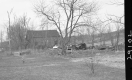 Barn with Trees