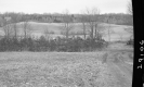 Dirt Road in Field