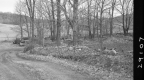 Dirt Road by Trees