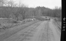 Dirt Road to Bridge