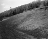Grassy Slope