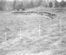 Wood Poles on Hill