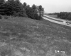 Grassy Slope