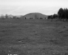 Field and Mountain