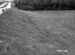 Grass Slope by Highway
