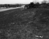 Field by Highway
