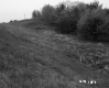 Grassy Slope