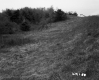 Slope by Highway