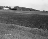 Crop Field