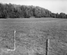 Fence by Field