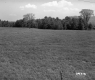 Fence by Field