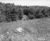 Grassy Slope