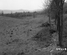 Grass Field
