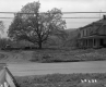 Driveway by House