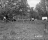 Field by House