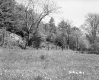 Field and Fence