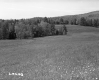 Fence in Field