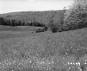 Field