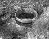 Concrete Ring