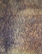Rust