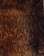 Rust