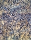 Rust