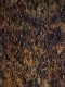 Rust