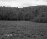 Field to Mountains