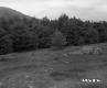 Field with Rocks
