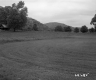 Field