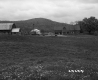 Field by Barn