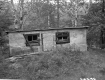 Shack in Woods