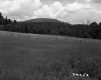 Field with Fence