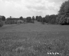 Grassy Hills