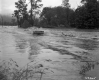 Car in Water