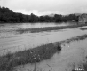 Flood