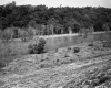Burlington Intervale