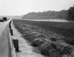 Burlington Intervale