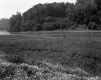 Burlington Intervale