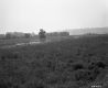 Burlington Intervale