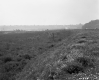 Burlington Intervale