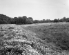 Burlington Intervale
