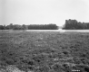 Burlington Intervale