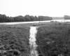 Water in Intervale