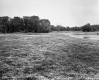 Burlington Intervale