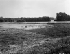 Burlington Intervale