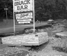 Flood Damage
