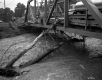 Flood Damage on Bridge