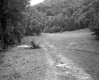 Rural Road