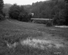 Water in Field